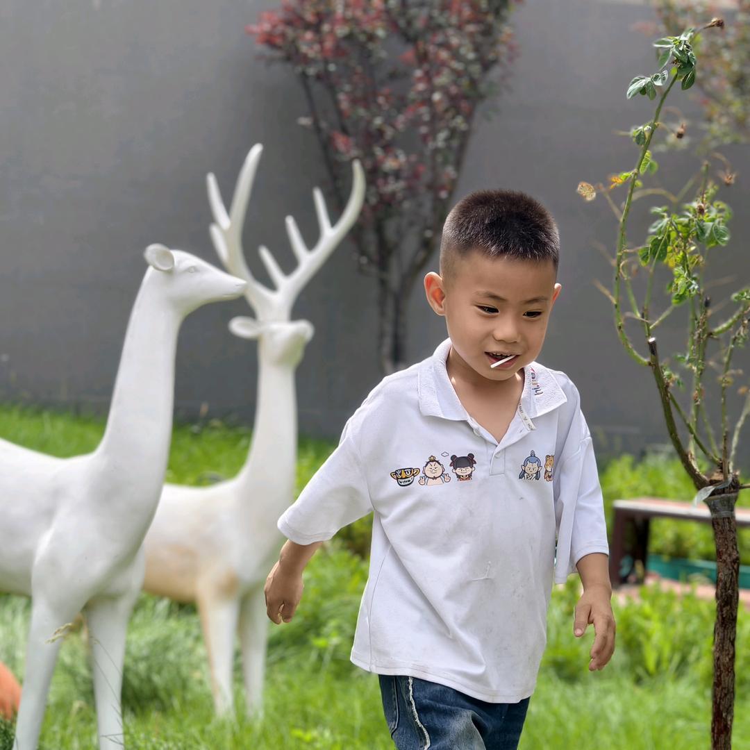 李洋～17795208333