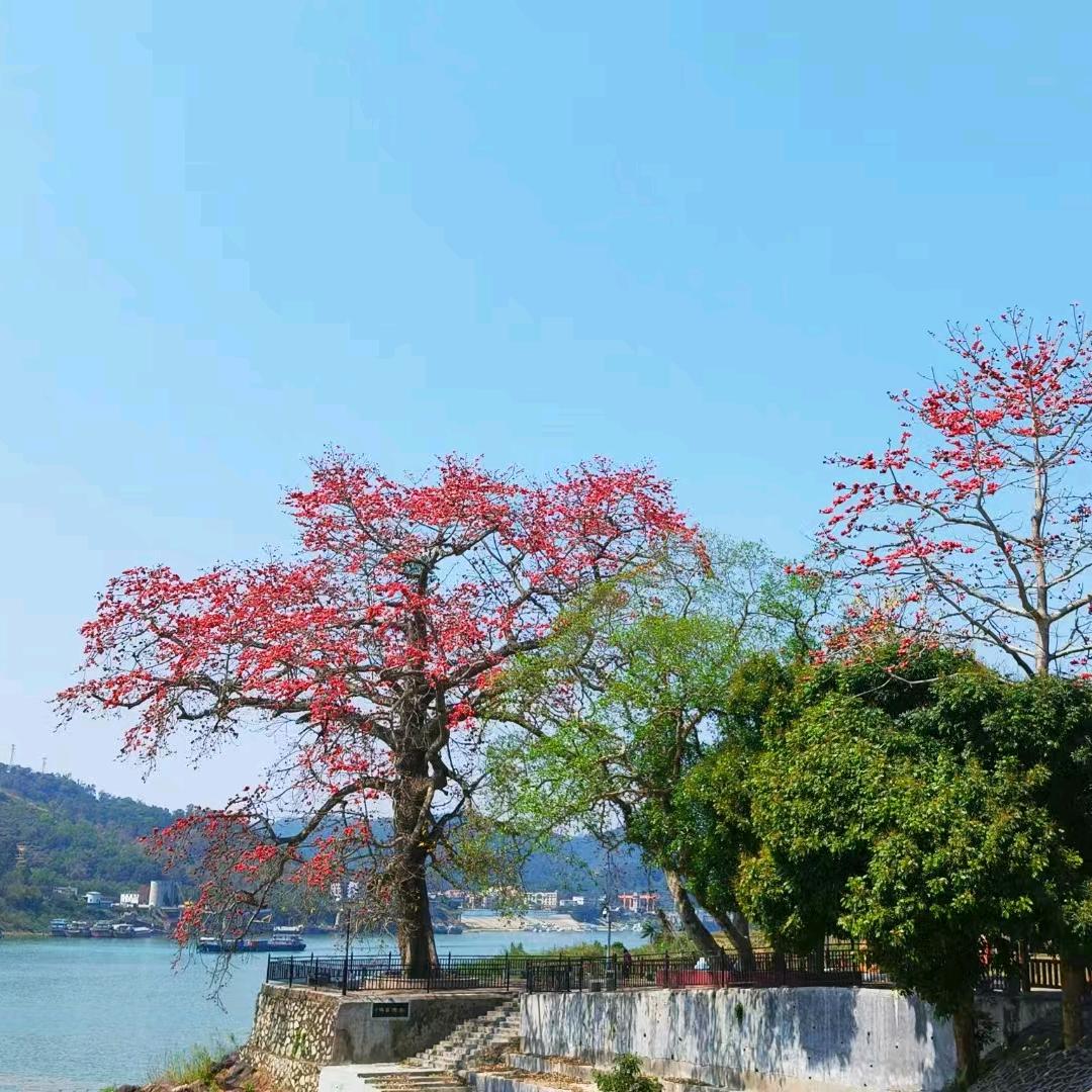 梁家大姐
