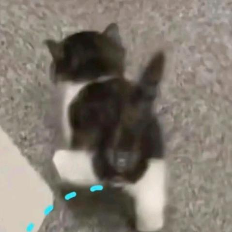 月色◞ ̑̑