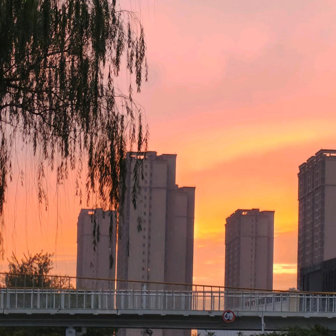 小胖子