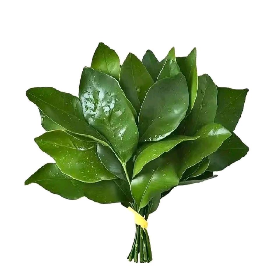 柚子茶