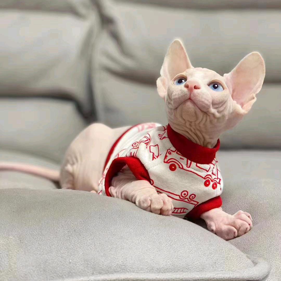潇澈亿囡平