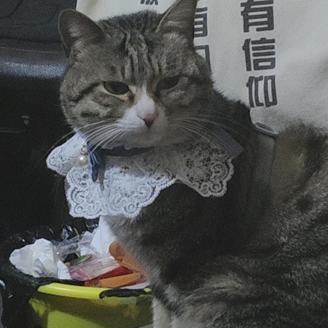 北城旧巷