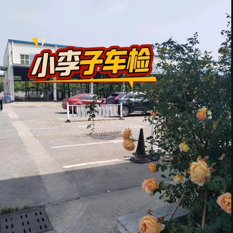 小李子验车