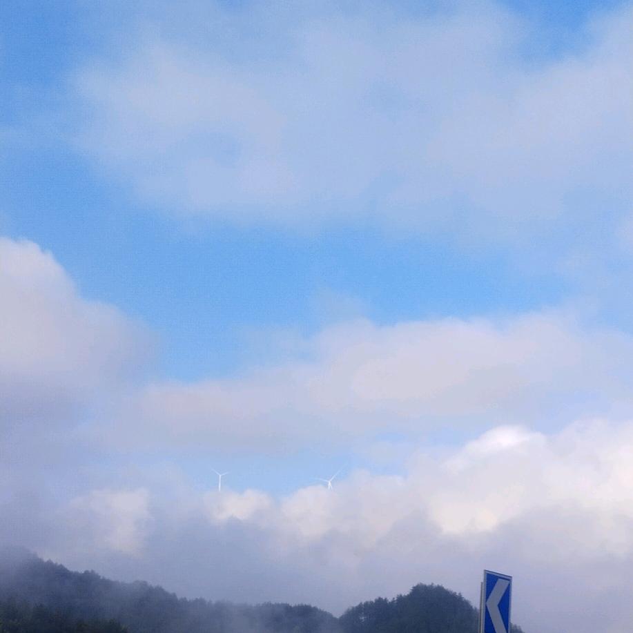 仙人掌₍˄·͈༝·͈˄₎◞