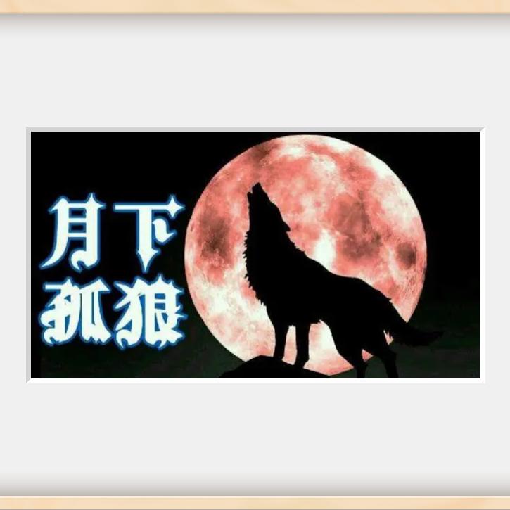 孤🔥狼