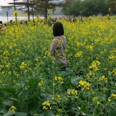 芳