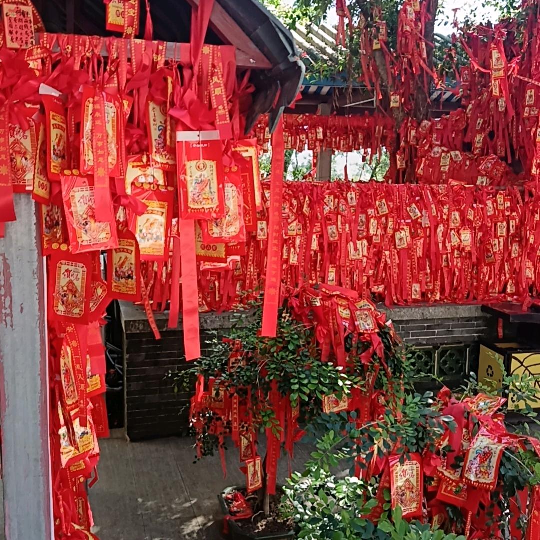 无情
