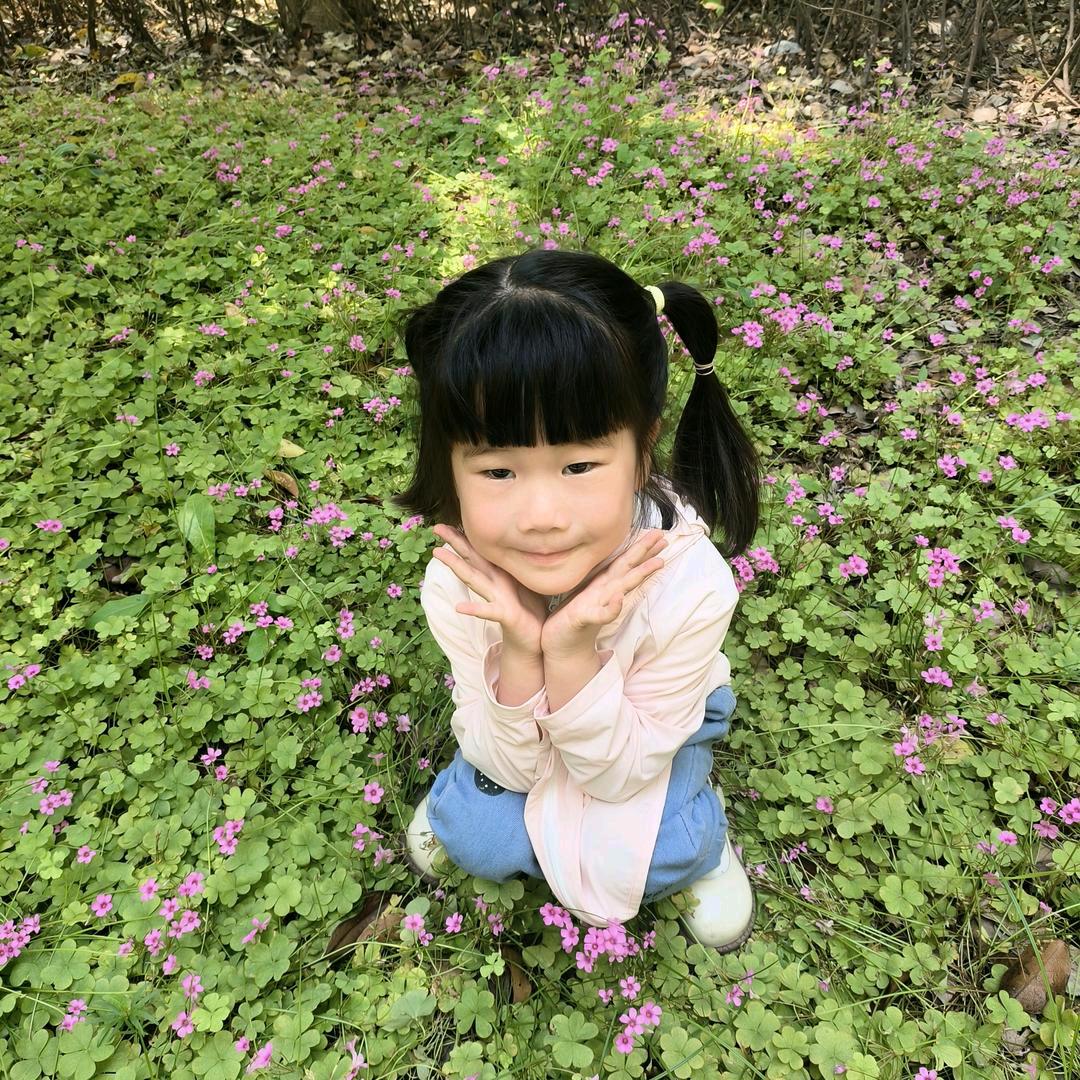 卫群