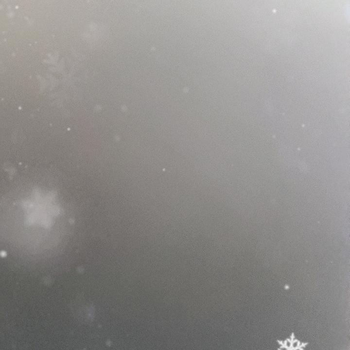 小邹✨