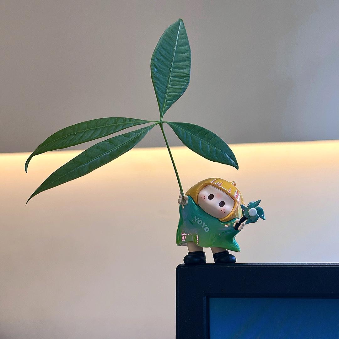 : ʚᥫᩣᰱᐝ黑粉