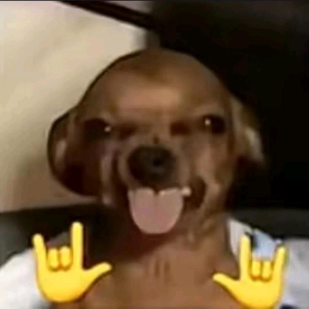 班鼬