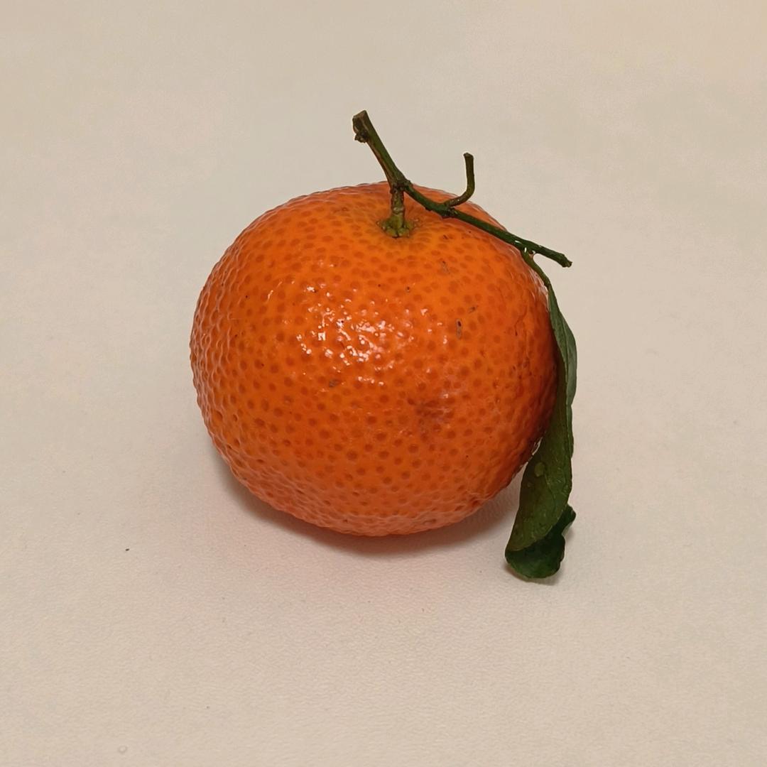 爱听歌的橘子酱