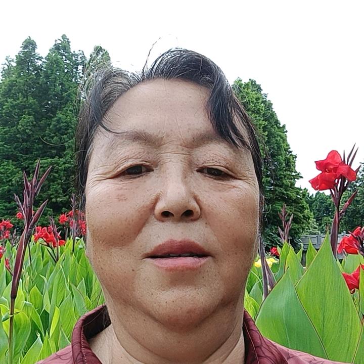陈碧姐1