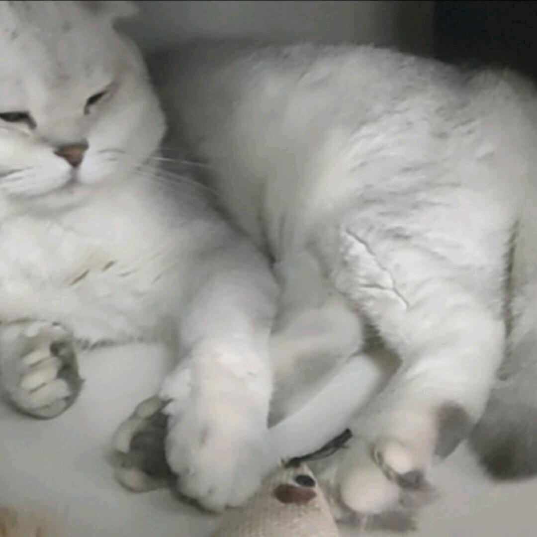 独宠你一人头像