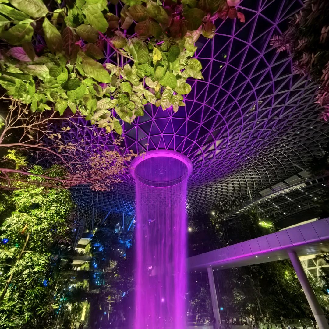 丽丽丽丽丽