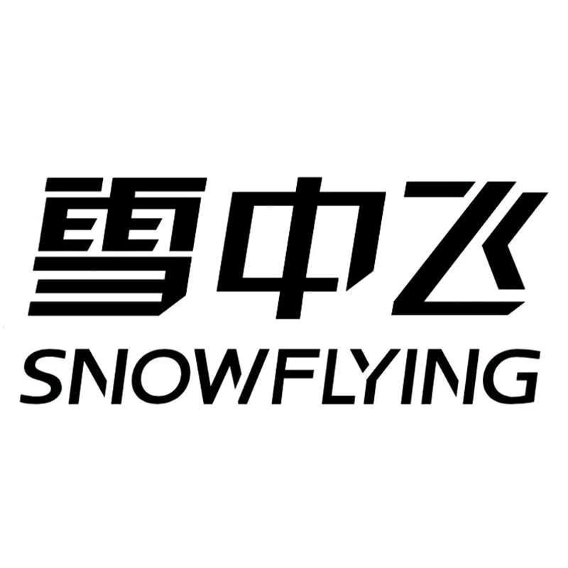 雪中飞陈娟内衣专卖店甄选