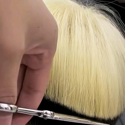 让我们一起加油