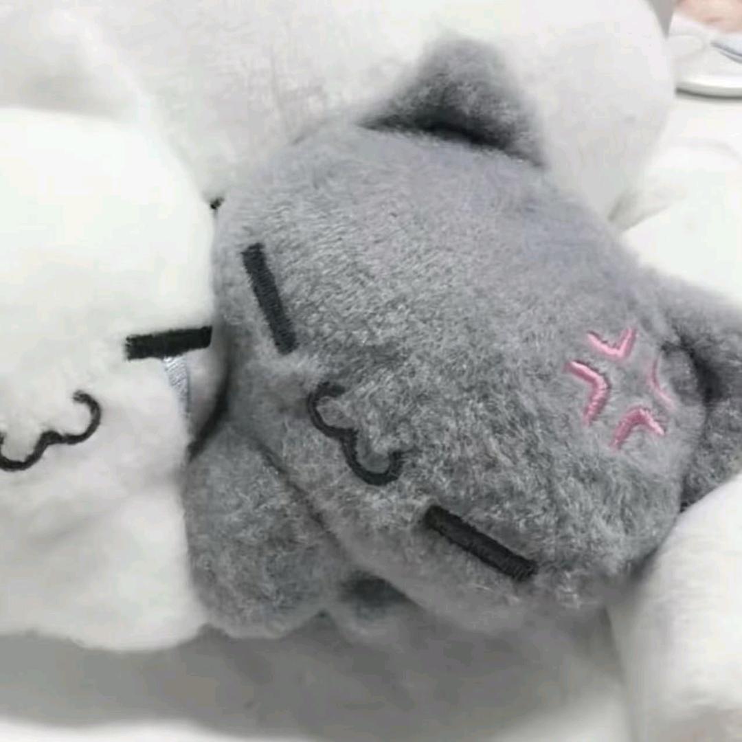 你问我时光能不能倒流？
