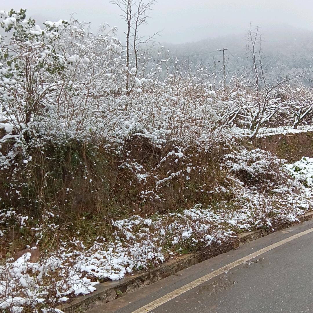 茶若醉人何须酒，只有碎银解悠愁。