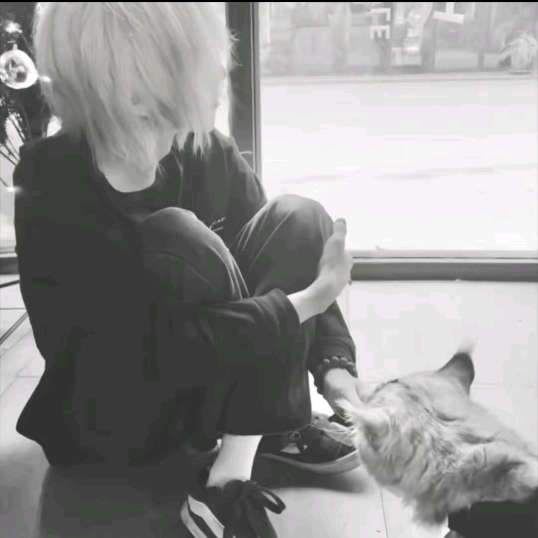 小鑫（三角洲）