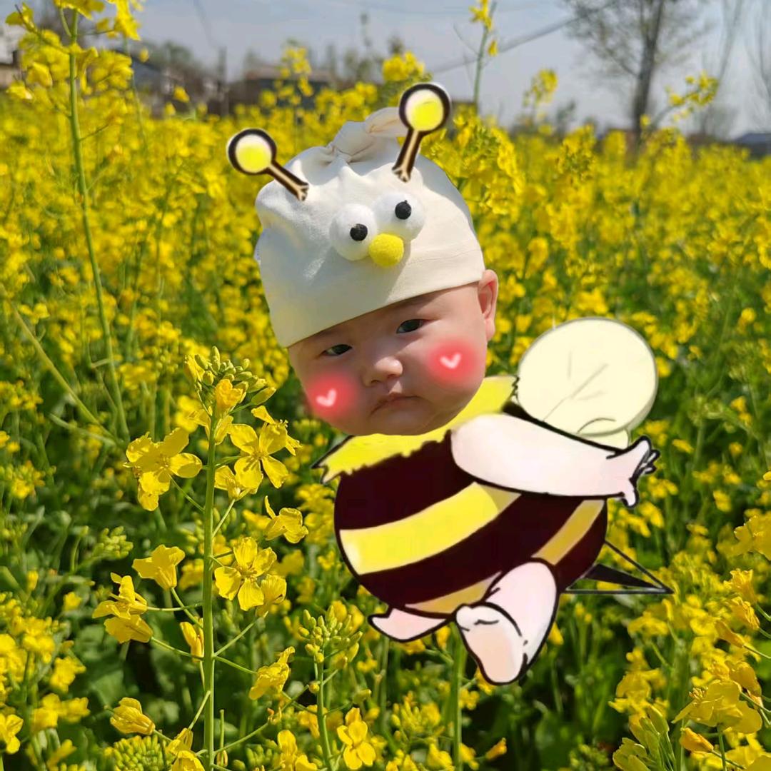 雨过天晴，朗朗乾坤