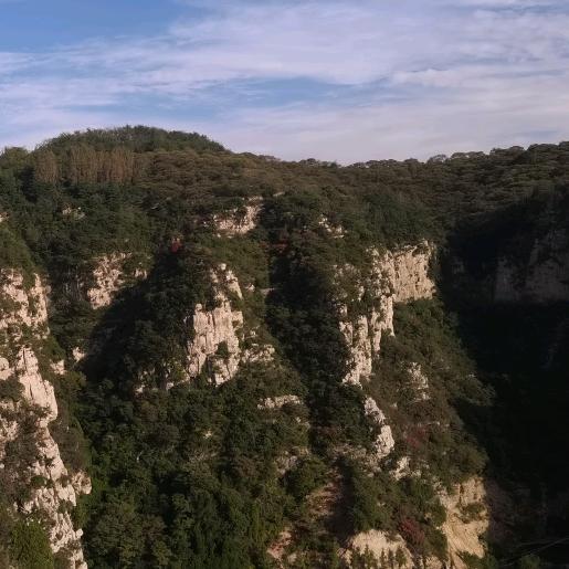 开开心心每一天