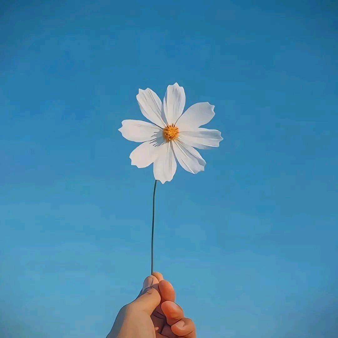 无人扶我青云志头像