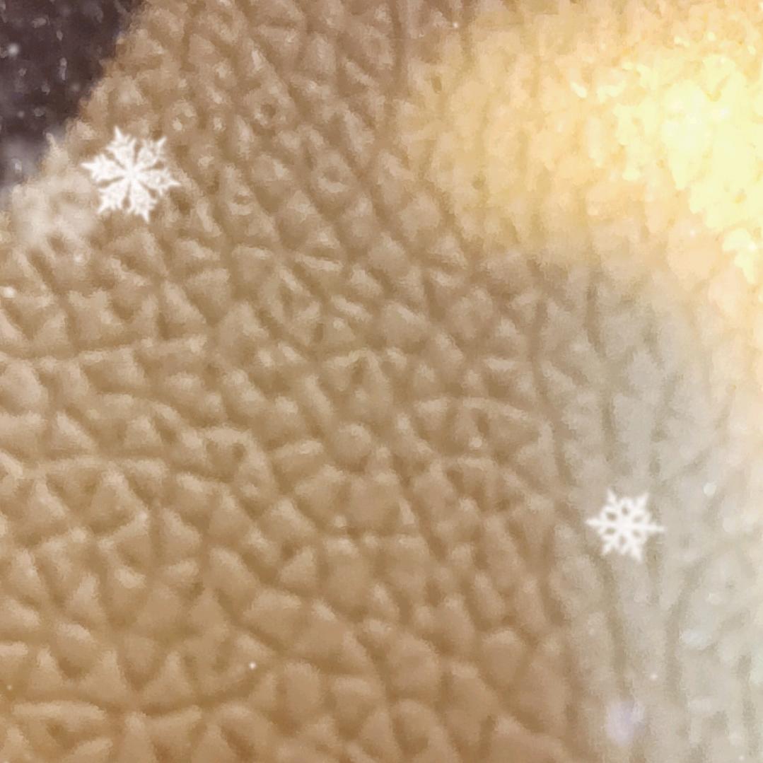 (^.^)（＞ｙ＜）