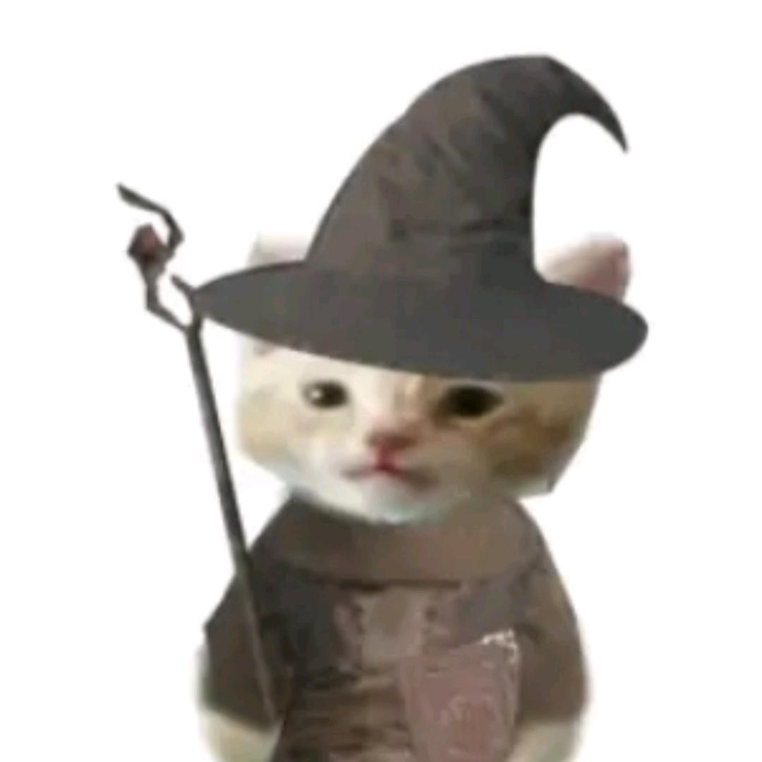 鸿萌