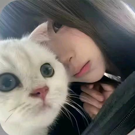 悄漫雾