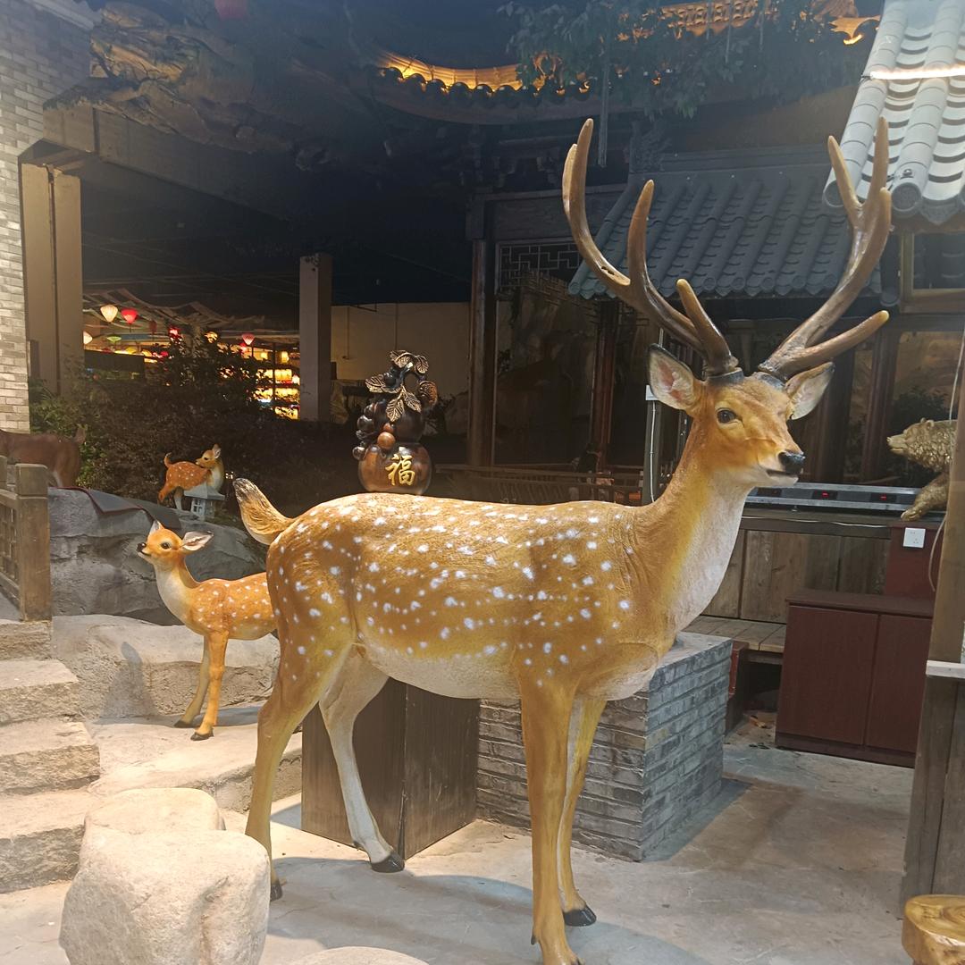 随遇而安(✿◡‿◡)