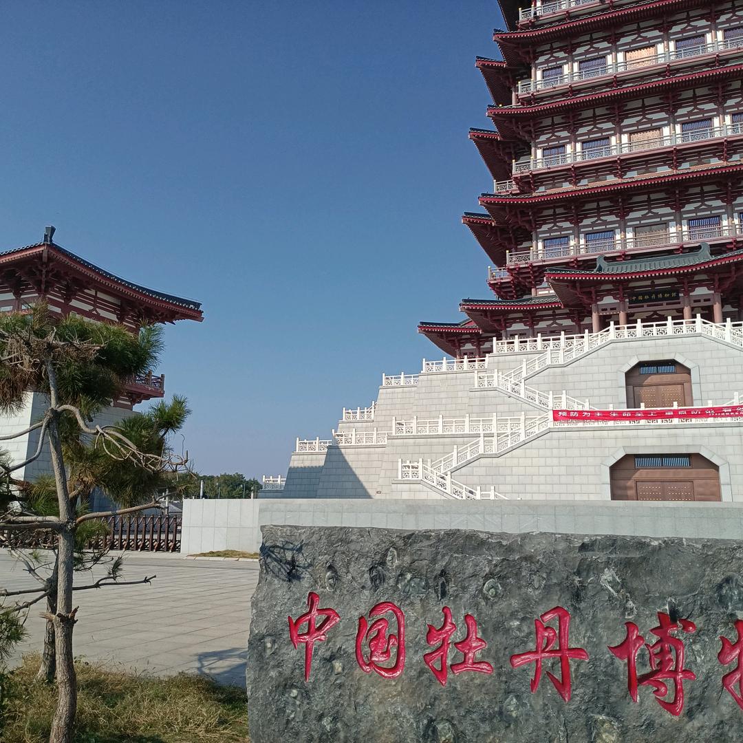 用户：佛渡有缘人