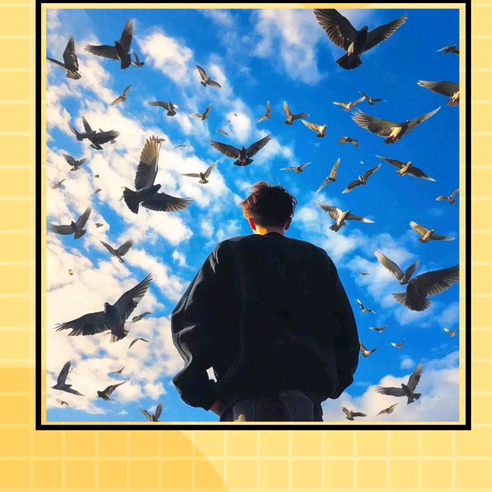 ༊ꦿ𓀜𓀡: 𓄂拾荒者