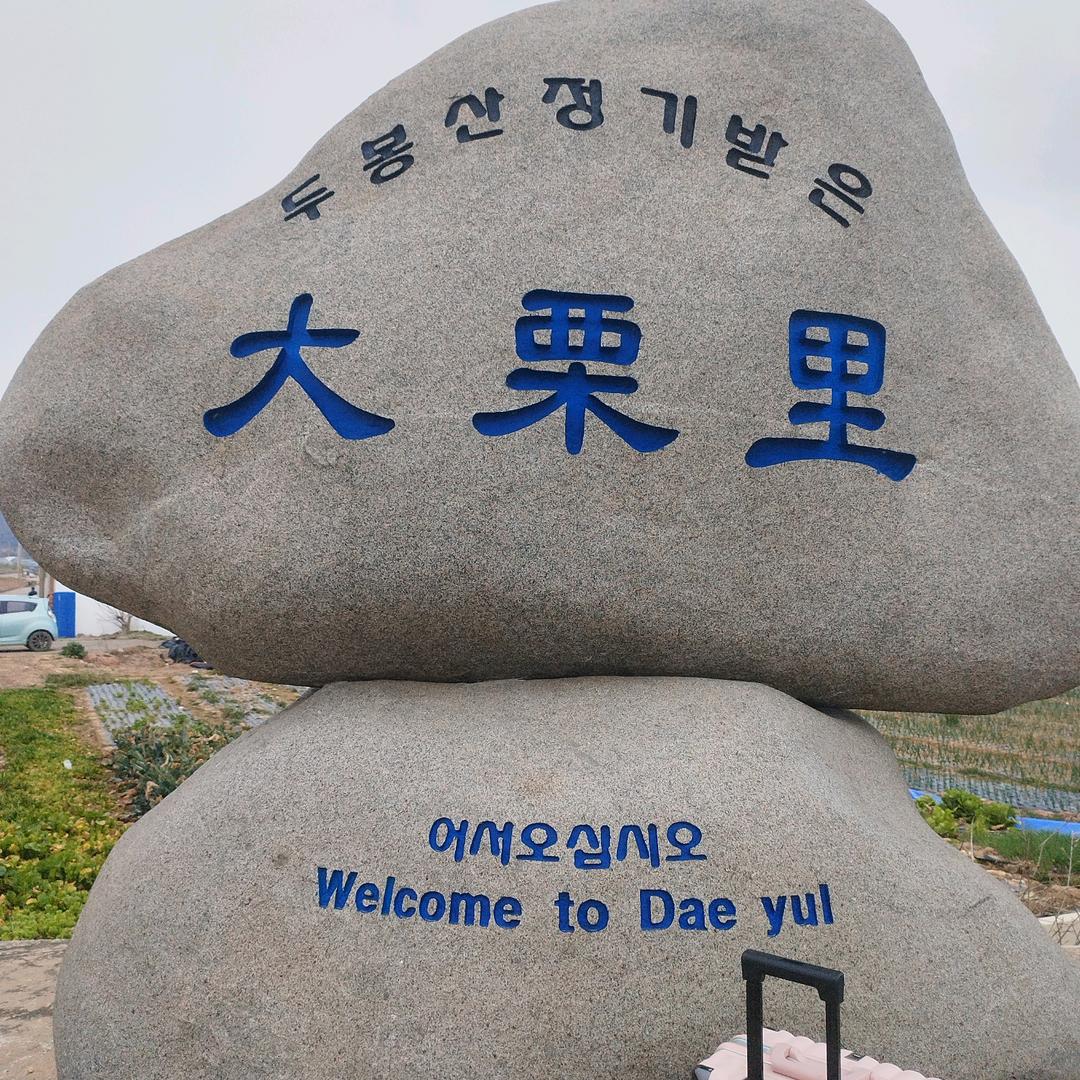 人生如戏