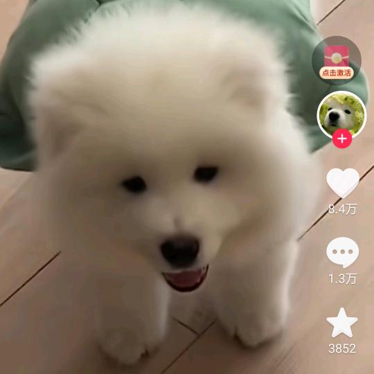一瓶矿泉水