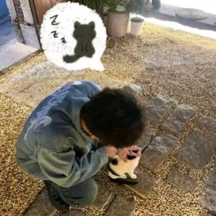 扁桃体永不发言