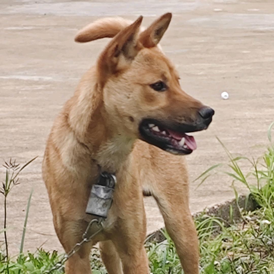 🙋逍🌹遥🥦浪🍇子🙆