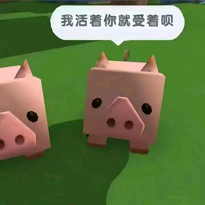 捣蛋鬼😜