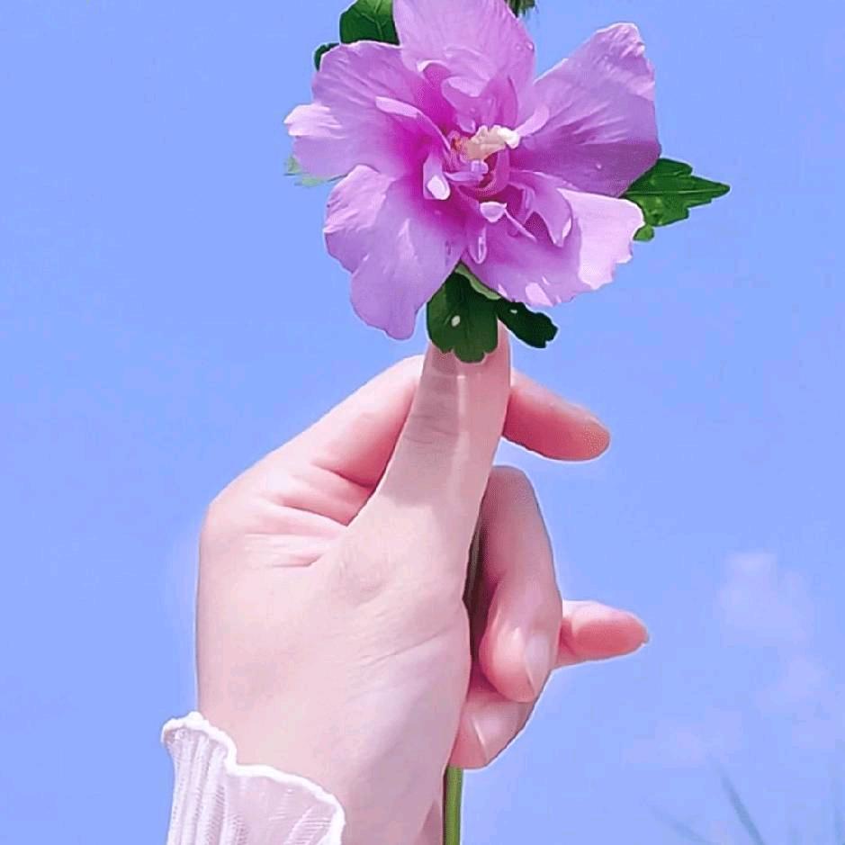 ও🕊ꦿꦼ一生᭄有か伱࿐