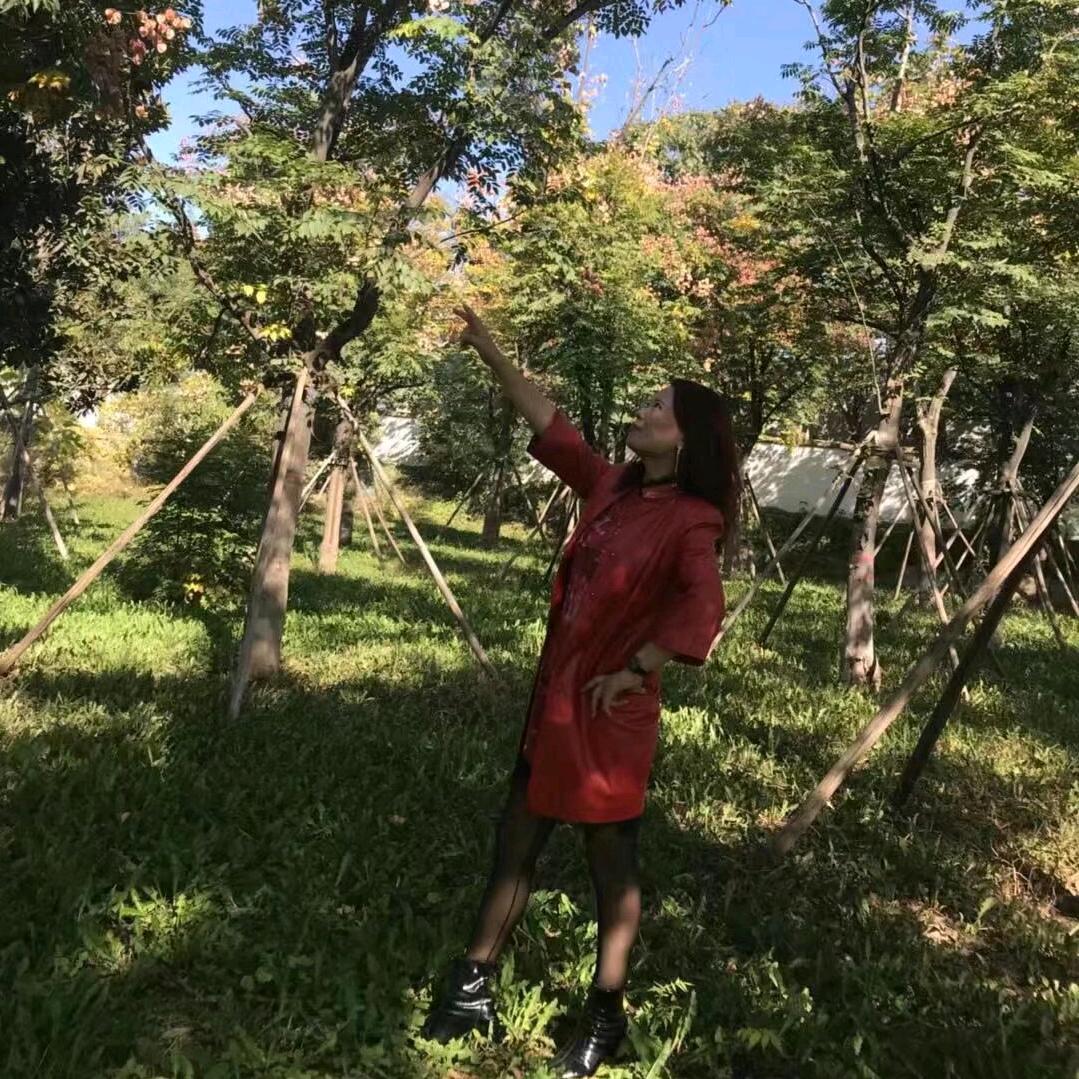 丽人