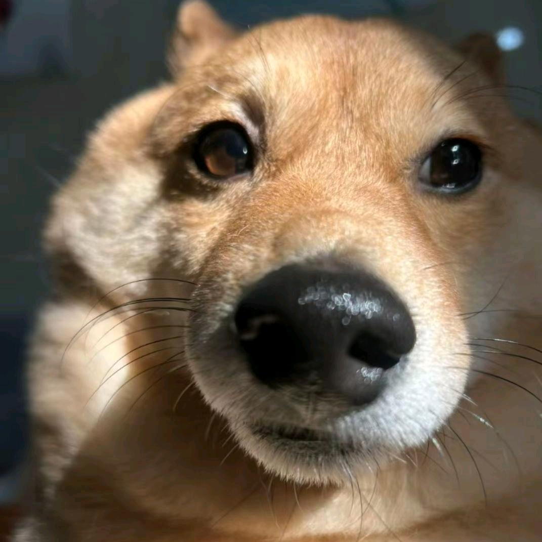 山意深.
