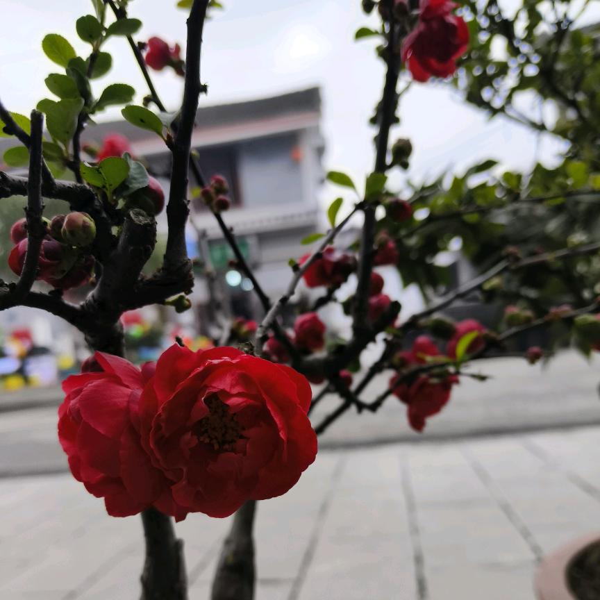 勇敢一时，幸福一生