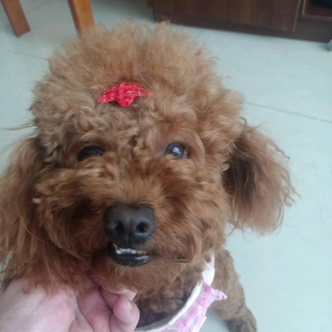 ✨一🎈切🌸皆💫是🌈浮☁️云🌟