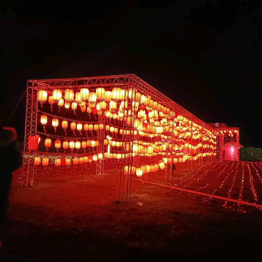 青春与明天