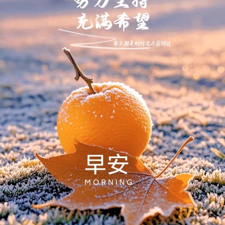 🍀星⭐星爱分享