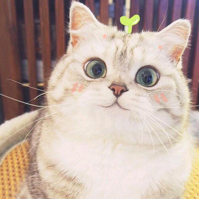 土特产走出大山⛰️