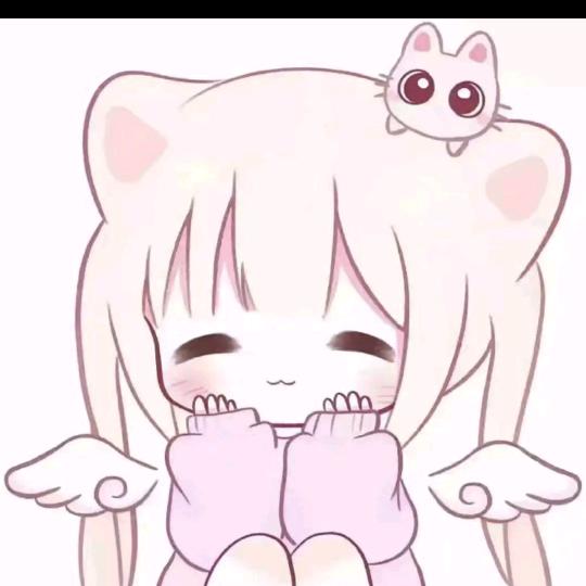 粥粥n