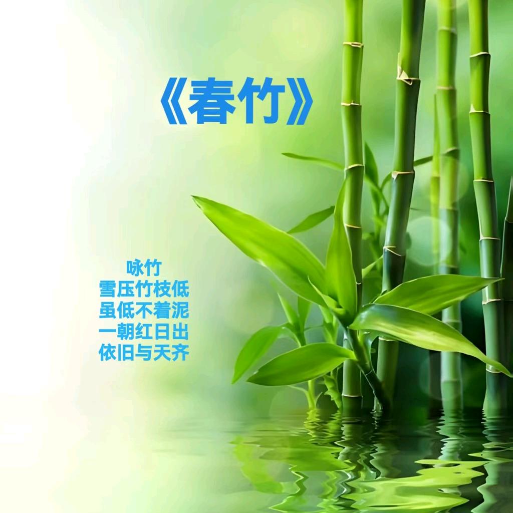 春竹