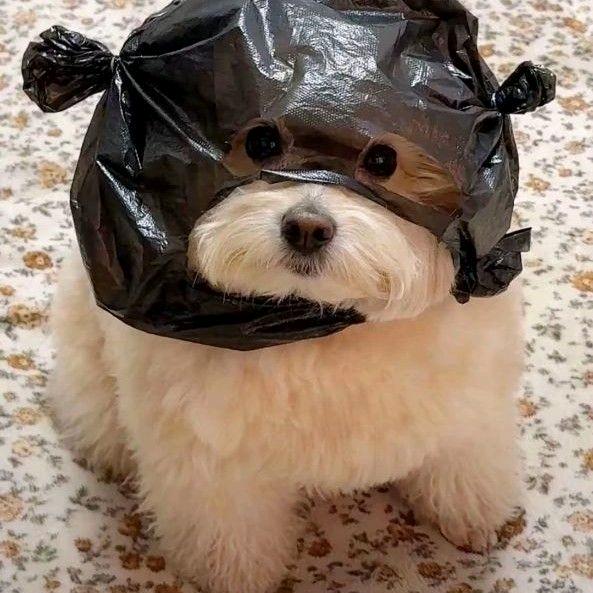 ୧⍤⃝梆梆一拳